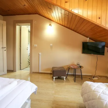 Smestaj Paramun Апартаменты Arilje