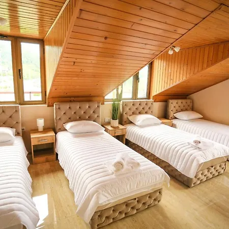 Апартаменты Smestaj Paramun