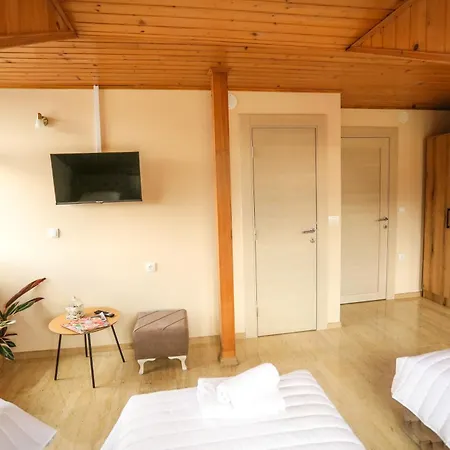 Smestaj Paramun Arilje