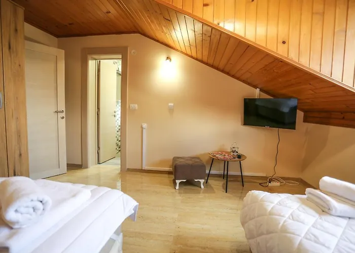 Smestaj Paramun 아파트 Arilje