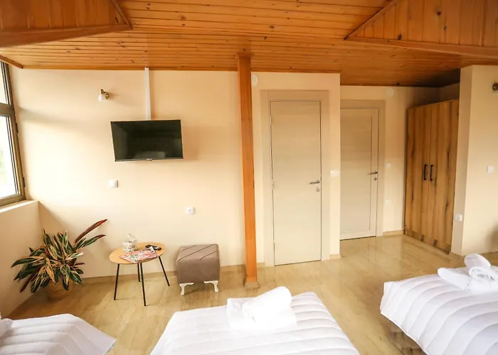 Smestaj Paramun Arilje